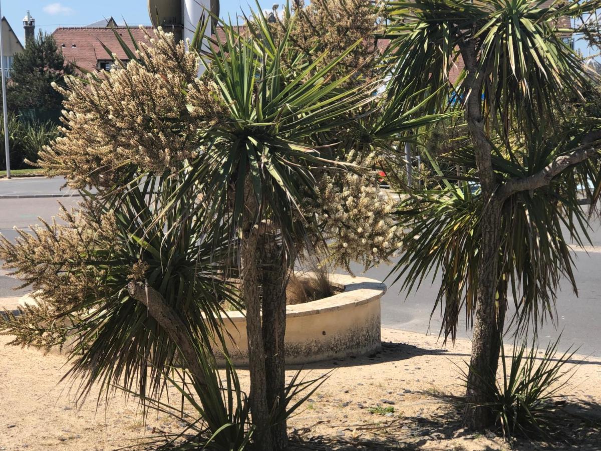 Le 84 Daire Courseulles-sur-Mer Dış mekan fotoğraf